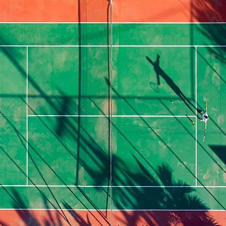 Palace 4* Σκύρος