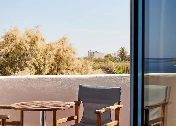 Ξενοδοχείο Palace Σκύρος