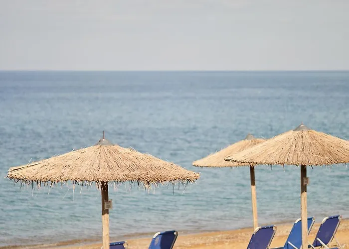 Palace 4* Σκύρος