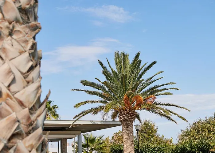 Ξενοδοχείο Palace Σκύρος