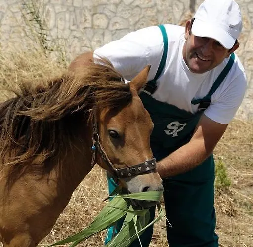 Ξενοδοχείο Palace 4*