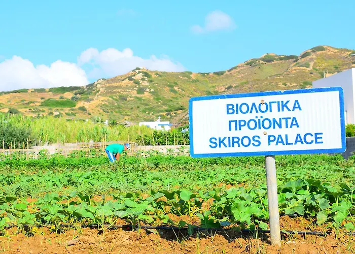 Palace Ξενοδοχείο